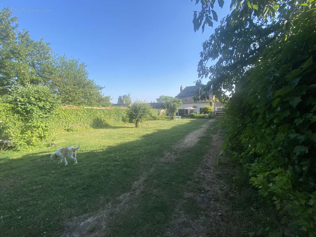 Maison à AMBLAINVILLE