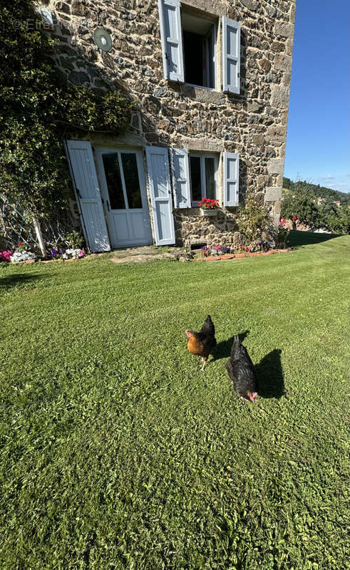 Maison à BOURG-ARGENTAL