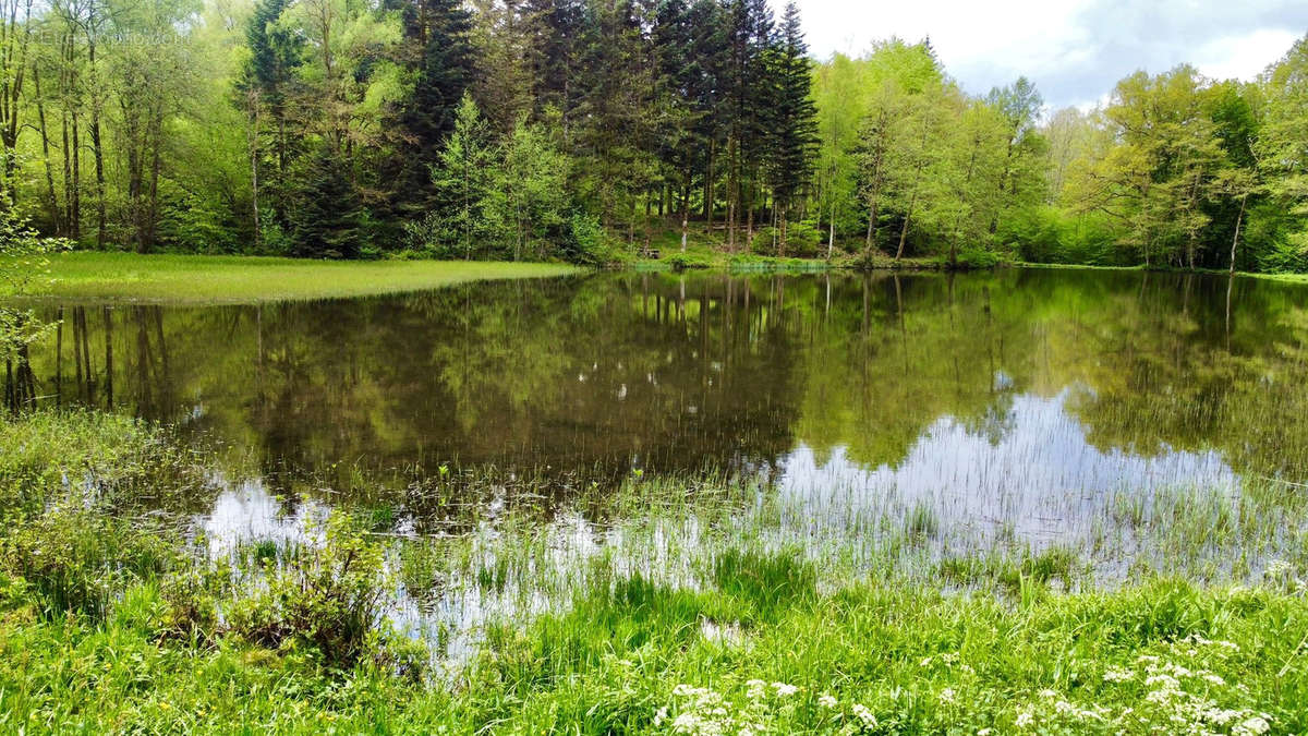 Terrain à SERVANCE