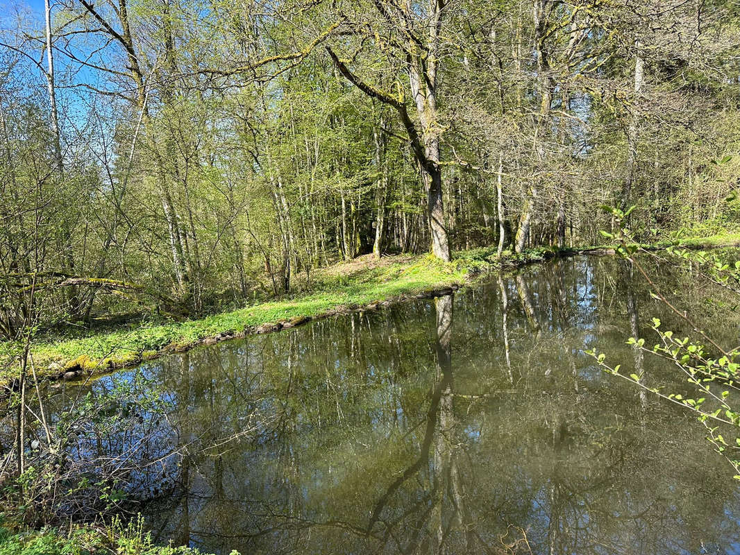 Terrain à SERVANCE