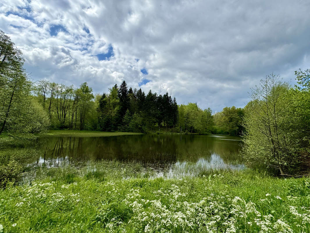 Terrain à SERVANCE