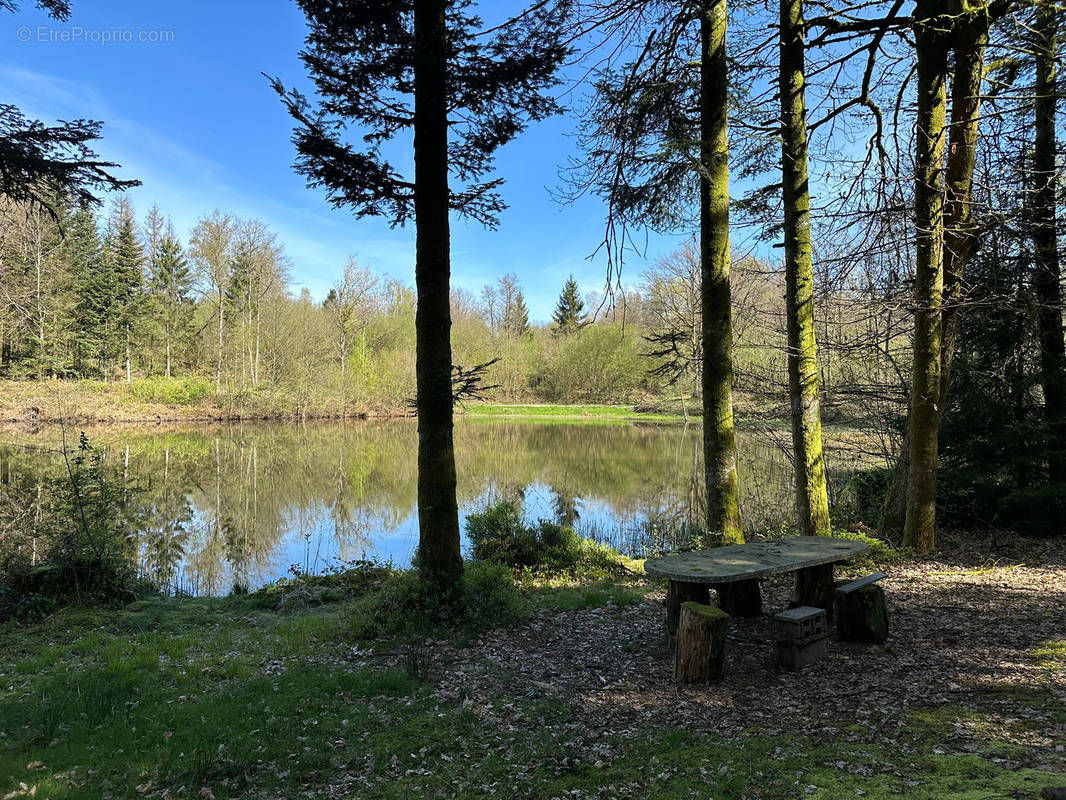 Terrain à SERVANCE