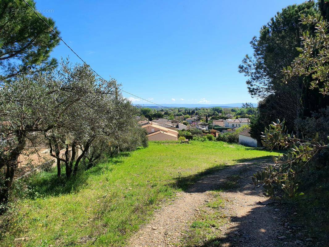 Terrain à ROQUEMAURE