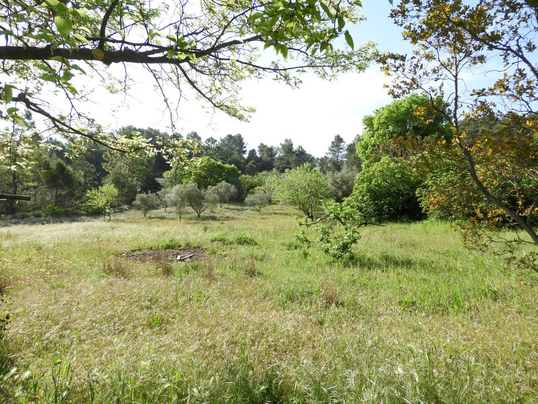 Terrain à CLERMONT-L&#039;HERAULT