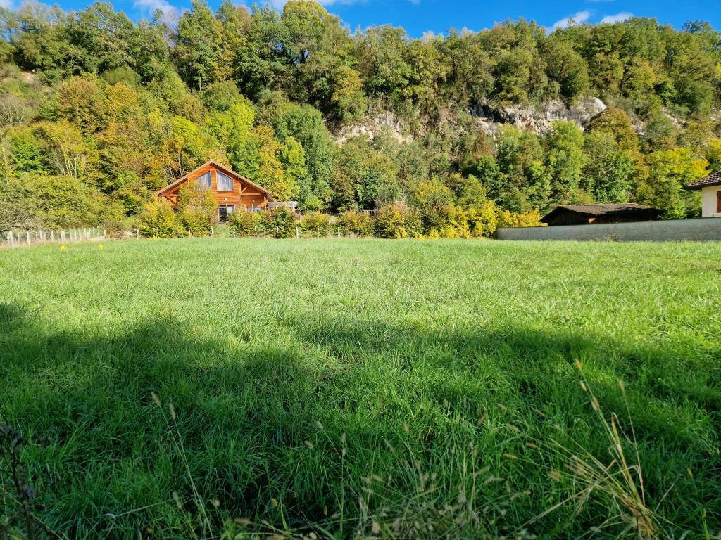 Terrain à SAINT-BENOIT