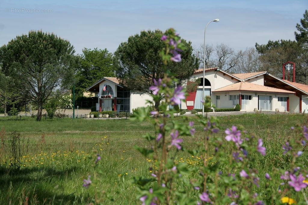 Terrain à BAS-MAUCO