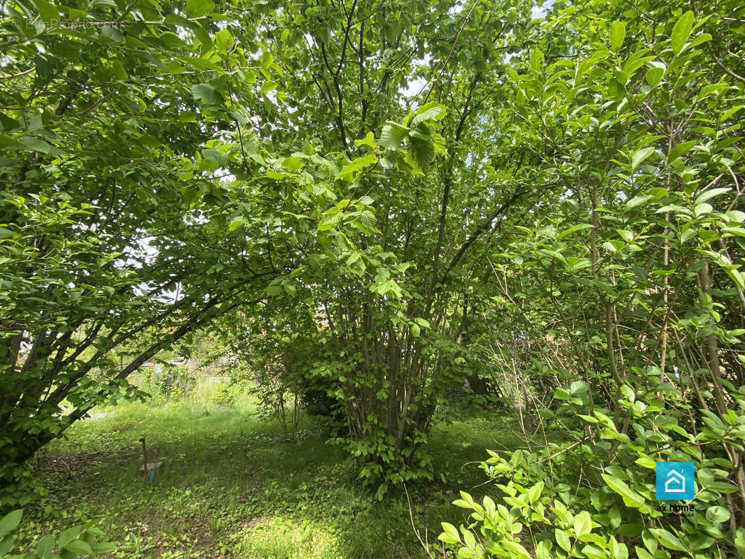 Terrain à MUNDOLSHEIM