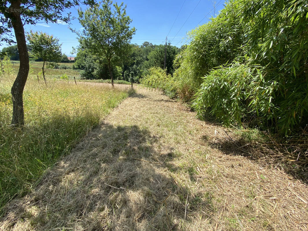 Terrain à SAMES