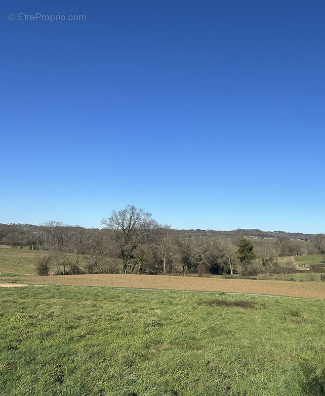 Terrain à SALLES-MONGISCARD