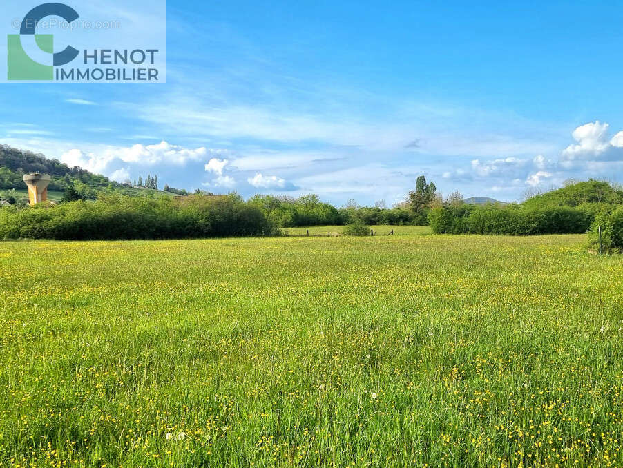 Terrain à DOMGERMAIN