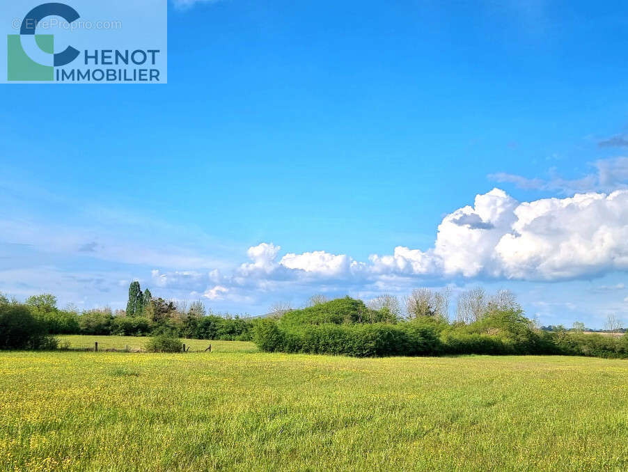 Terrain à DOMGERMAIN