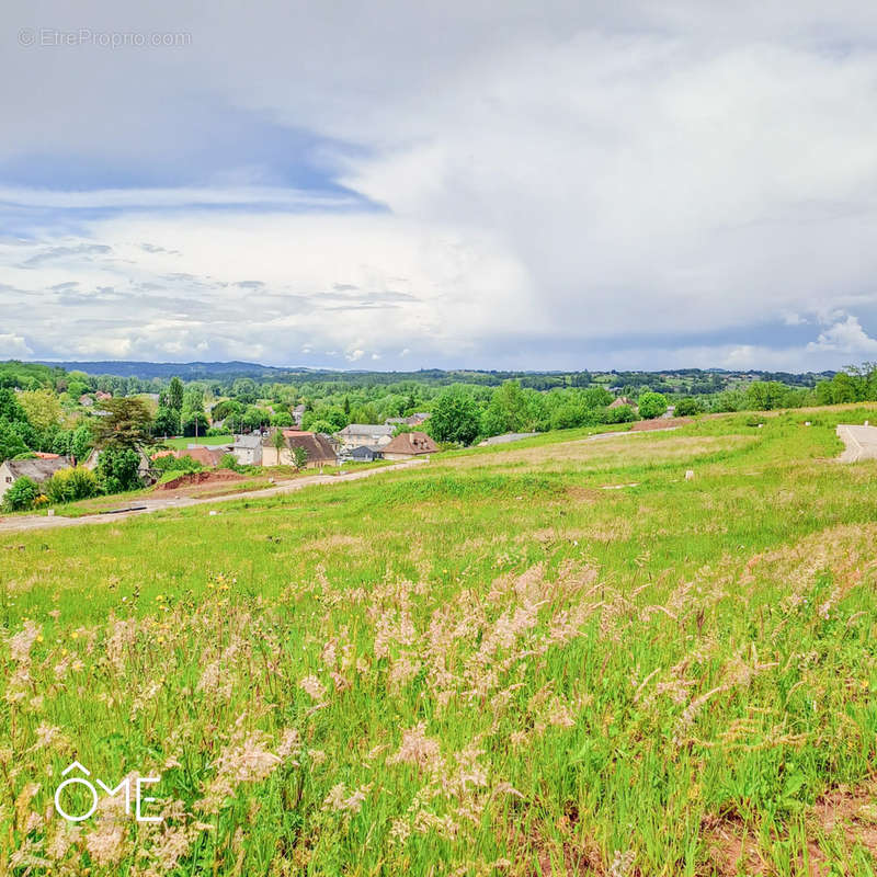 Terrain à LARCHE