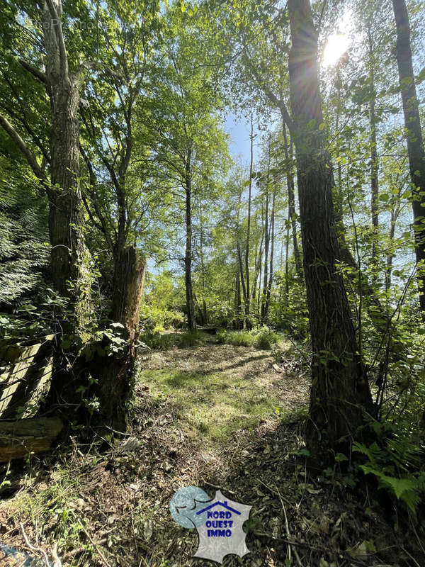 Terrain à AMBRIERES-LES-VALLEES