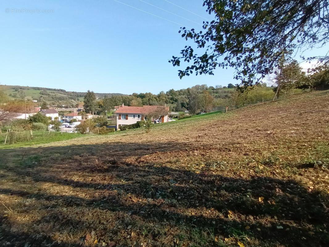 Terrain à COUR-ET-BUIS