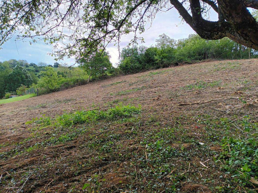 Terrain à COUR-ET-BUIS