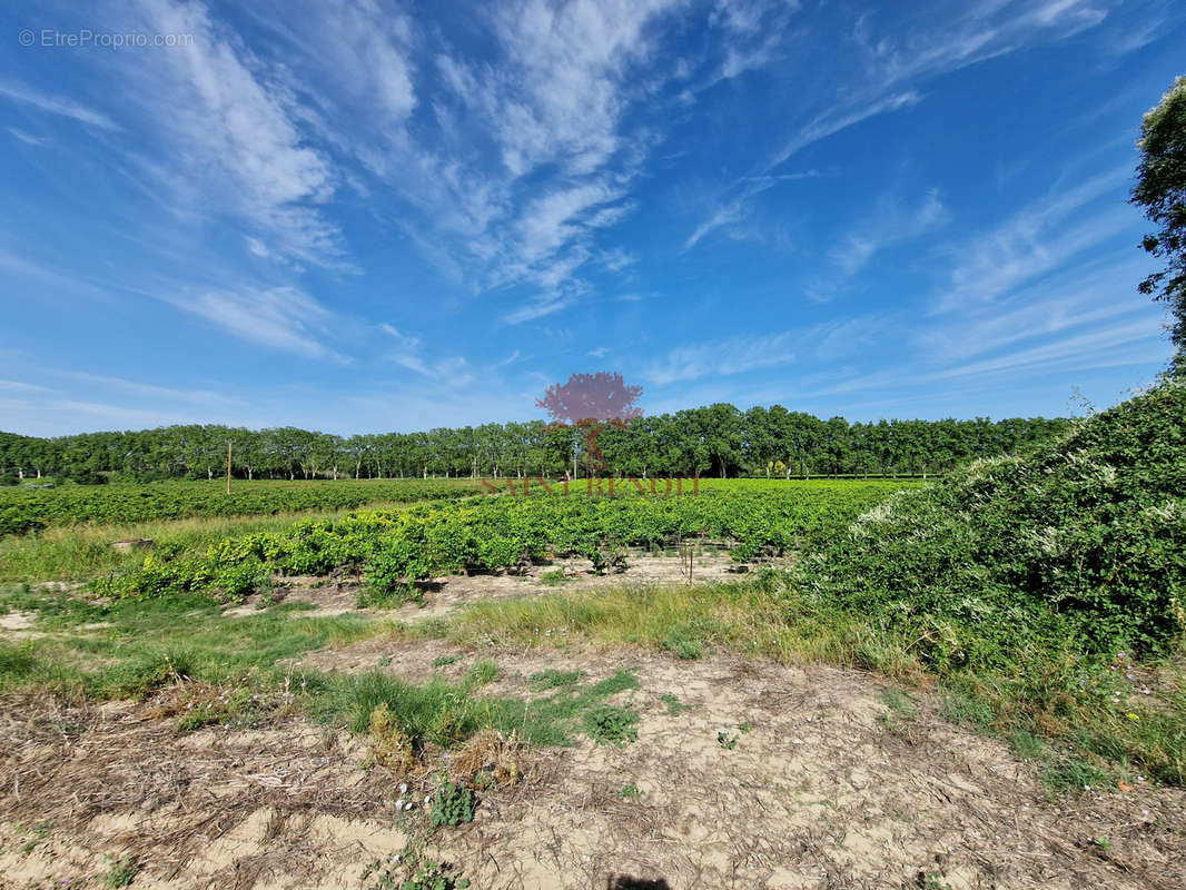 Terrain à GIGNAC