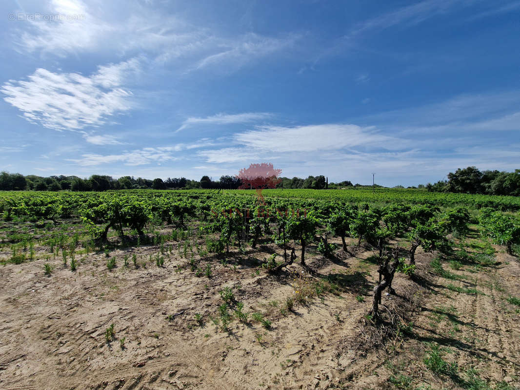 Terrain à GIGNAC