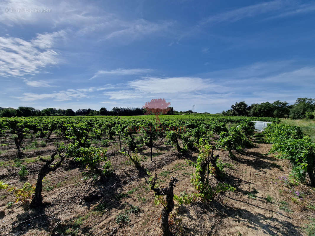 Terrain à GIGNAC