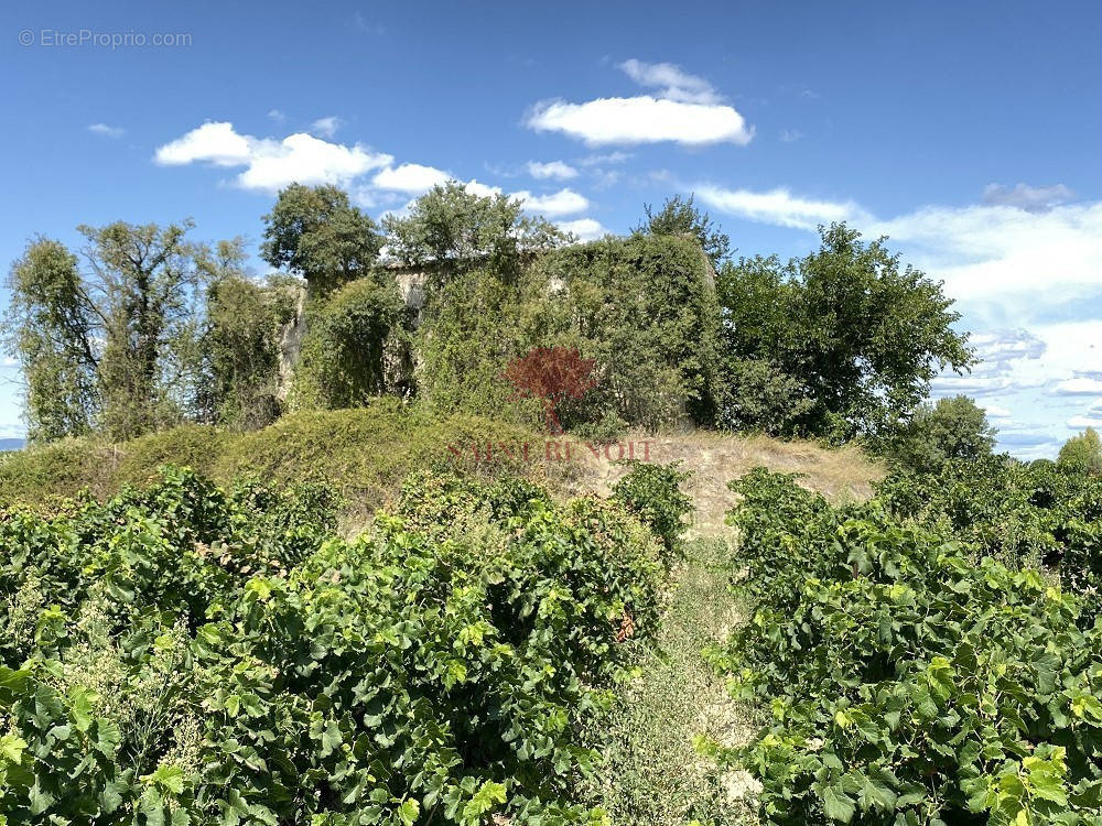 Terrain à GIGNAC