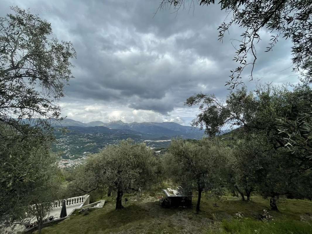 Terrain à CHATEAUNEUF-VILLEVIEILLE