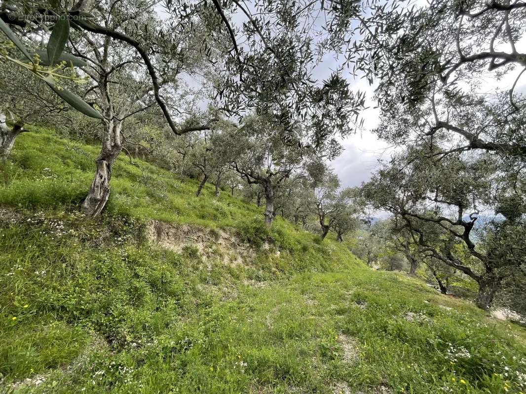 Terrain à CHATEAUNEUF-VILLEVIEILLE