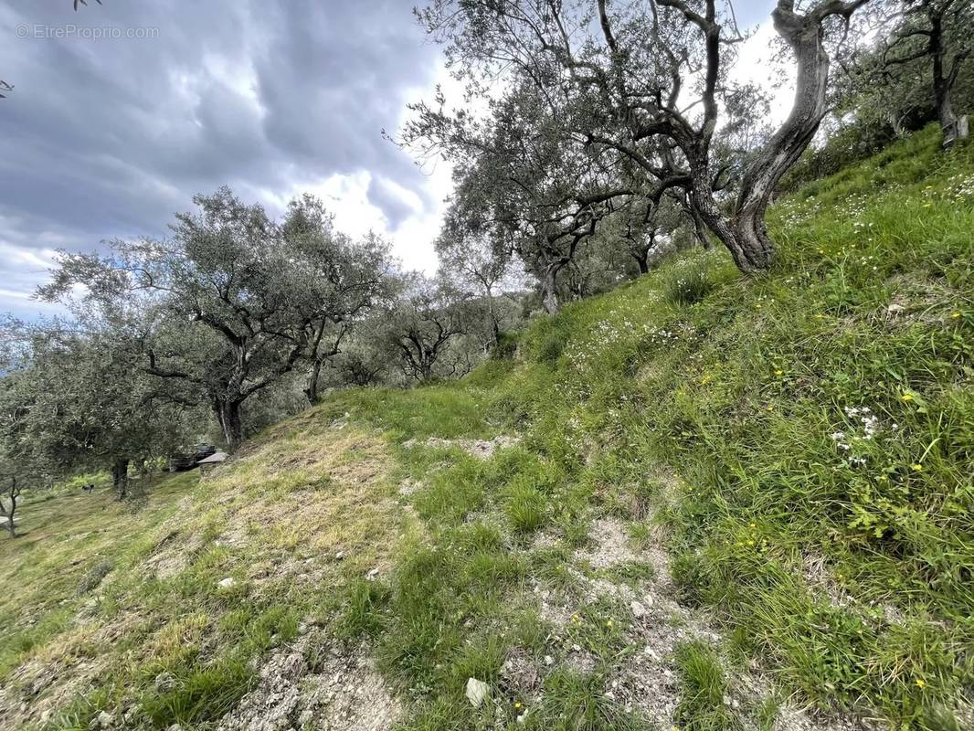 Terrain à CHATEAUNEUF-VILLEVIEILLE