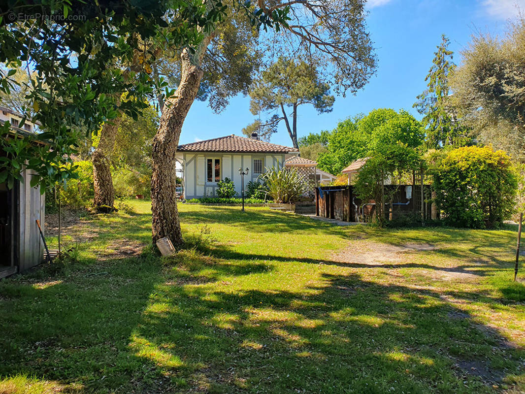 Maison à BENESSE-MAREMNE