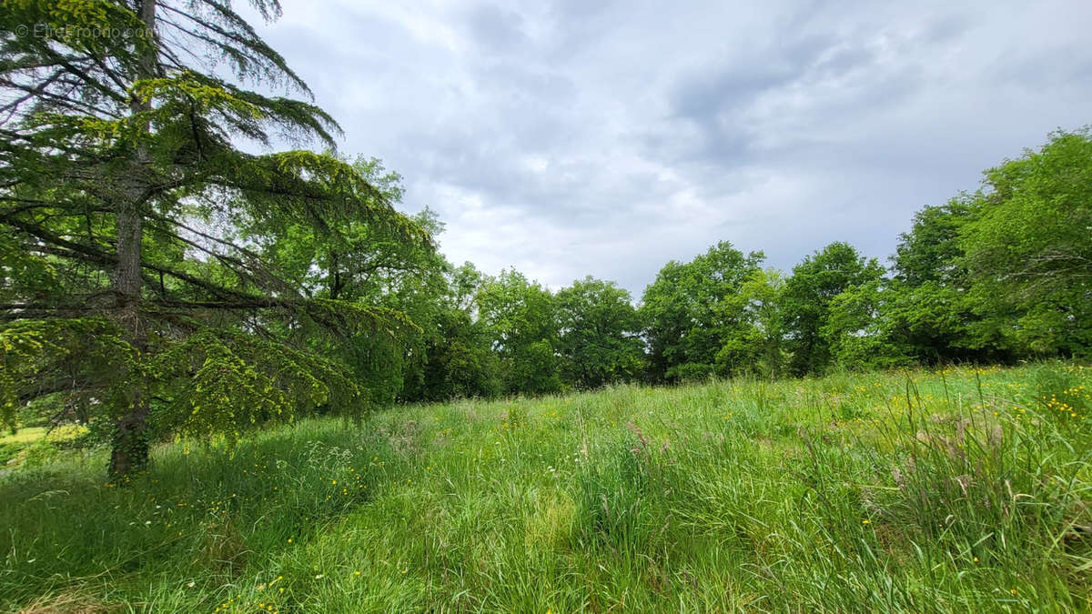 Terrain à AUDIGNON