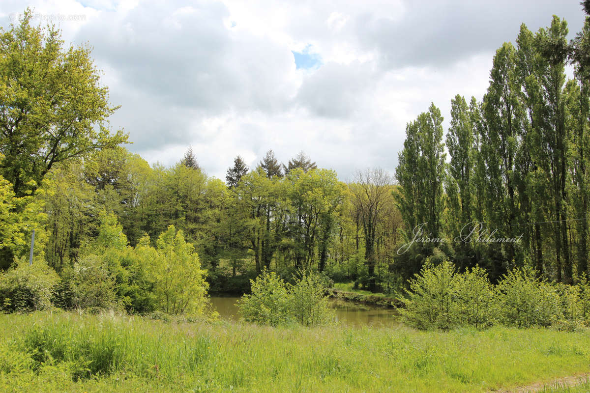 Terrain à SAINT-MARC-LA-LANDE