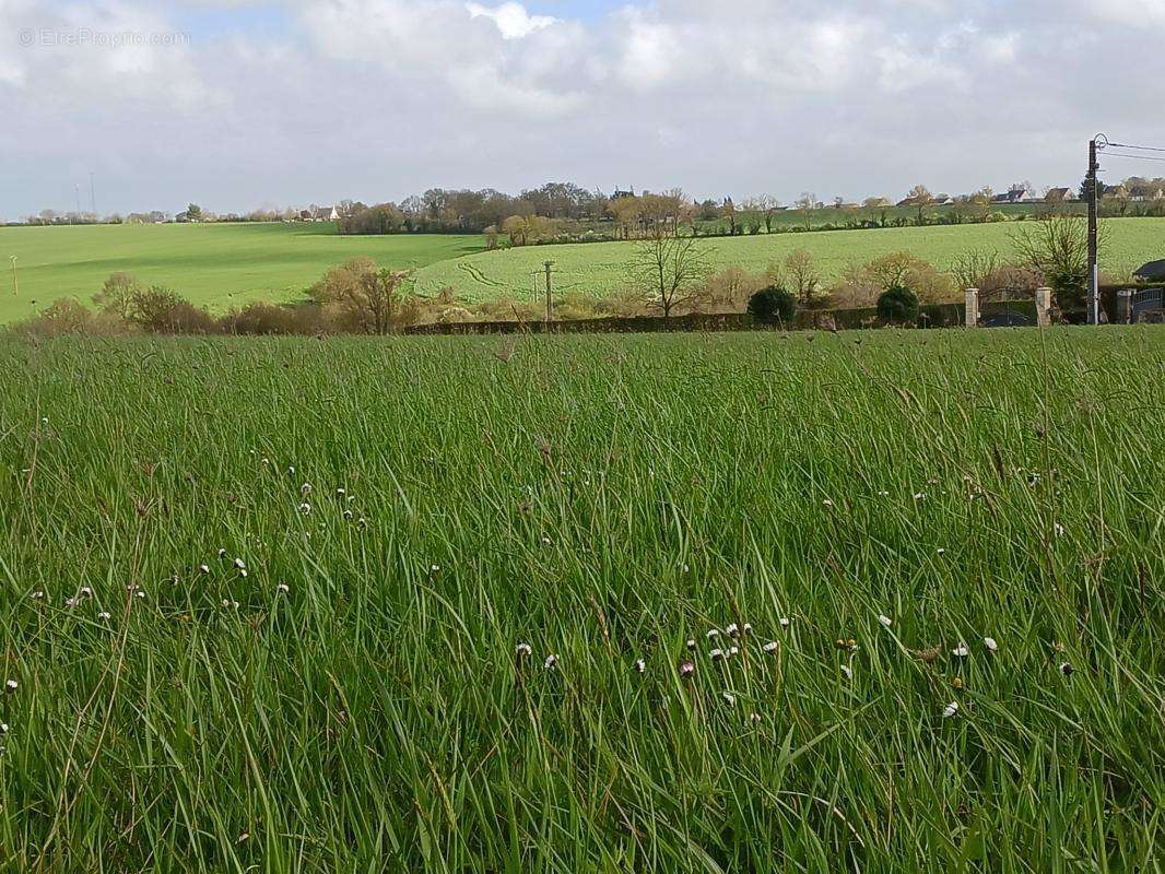 Terrain à POUILLE-LES-COTEAUX