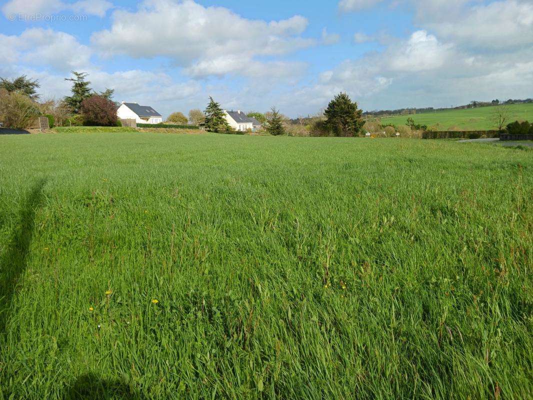 Terrain à POUILLE-LES-COTEAUX