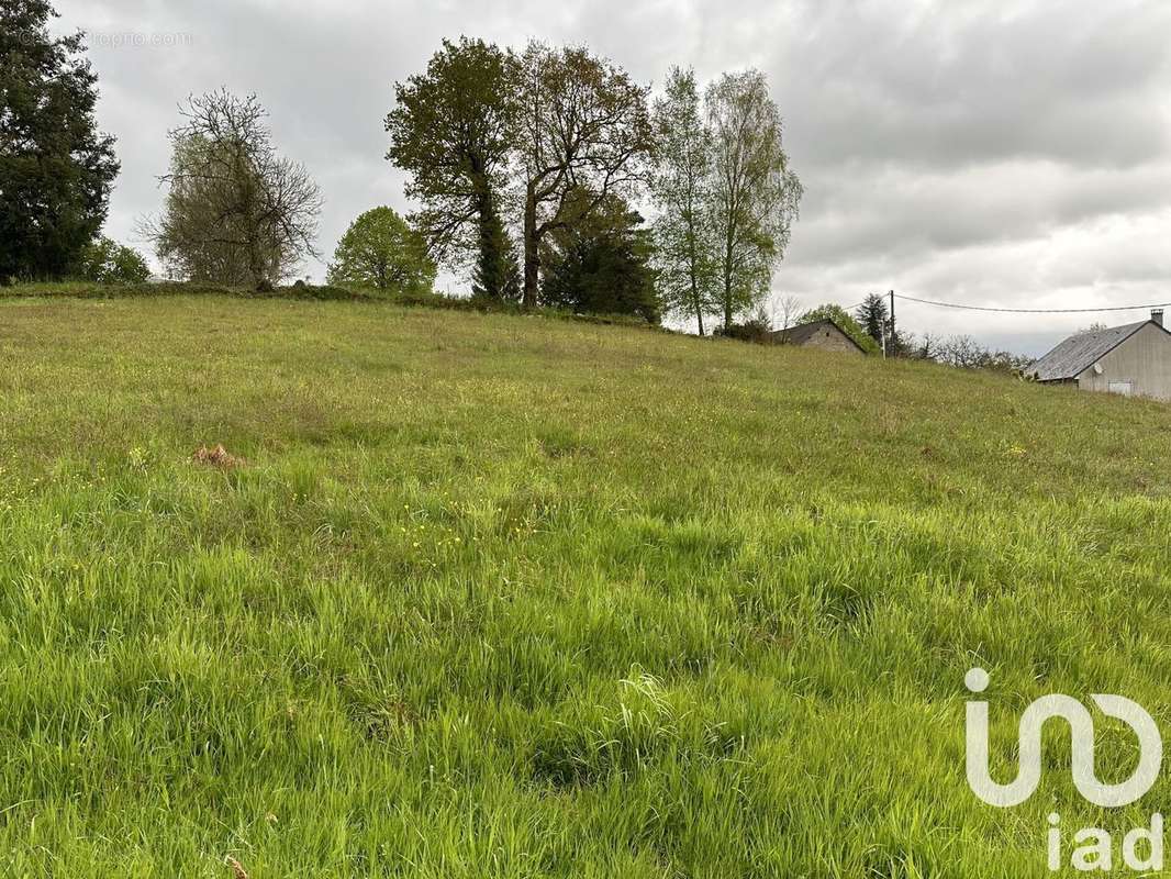 Photo 2 - Terrain à CORREZE