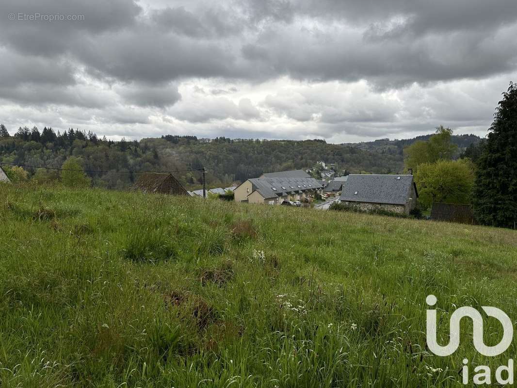 Photo 6 - Terrain à CORREZE