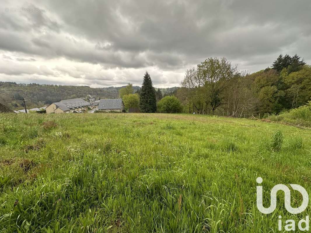 Photo 7 - Terrain à CORREZE