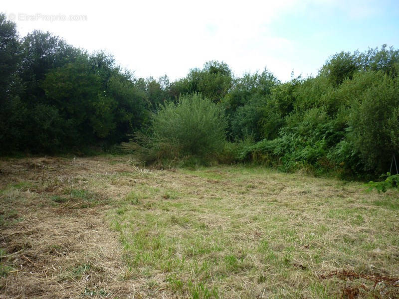 Terrain à L&#039;ILE-D&#039;YEU