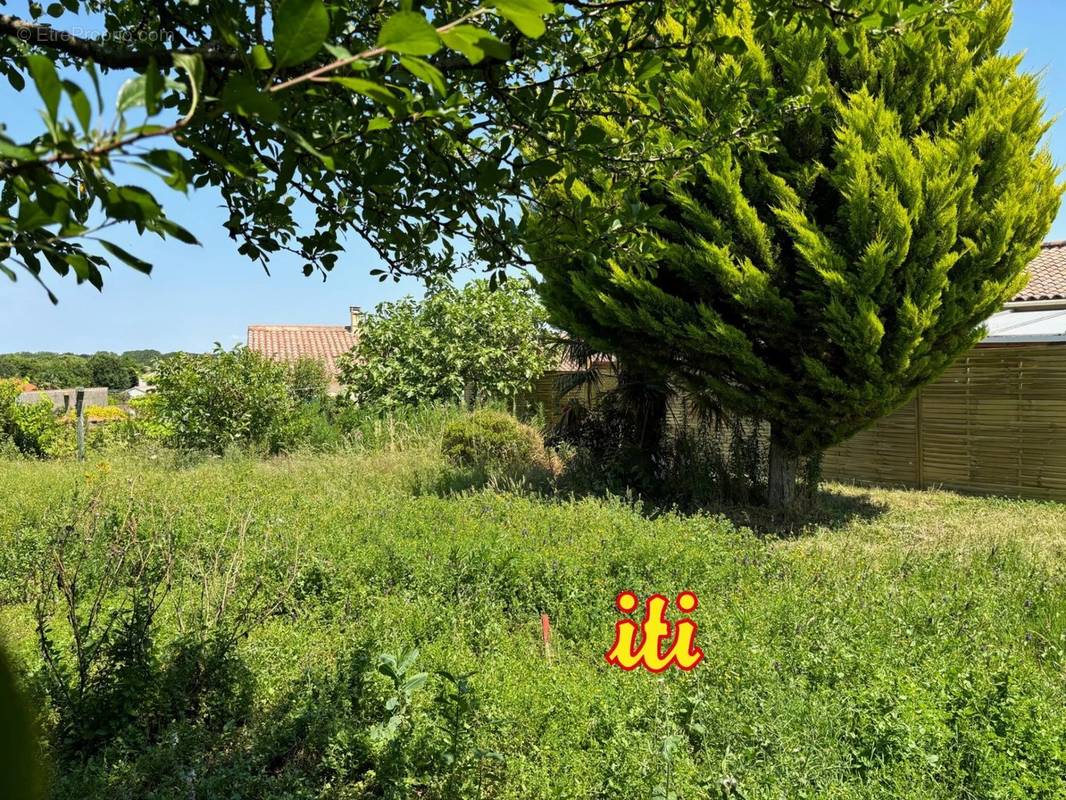 Terrain à TALMONT-SAINT-HILAIRE