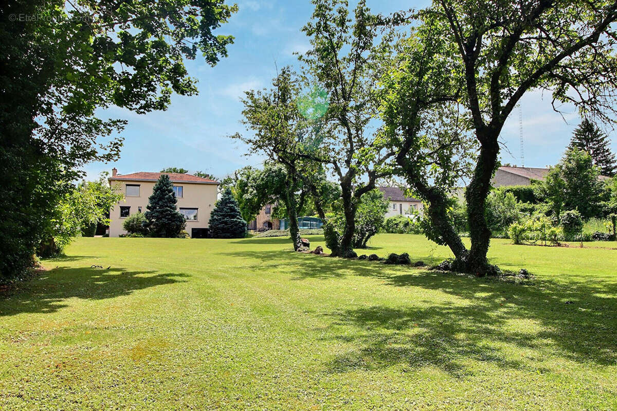 Maison à PONT-DU-CHATEAU