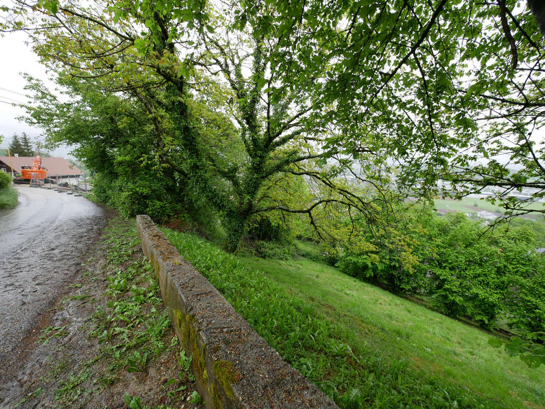 Terrain à EPAGNY