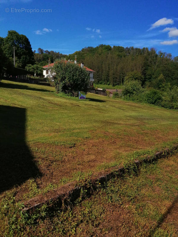 Terrain à BAUME-LES-DAMES