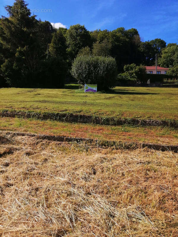 Terrain à BAUME-LES-DAMES