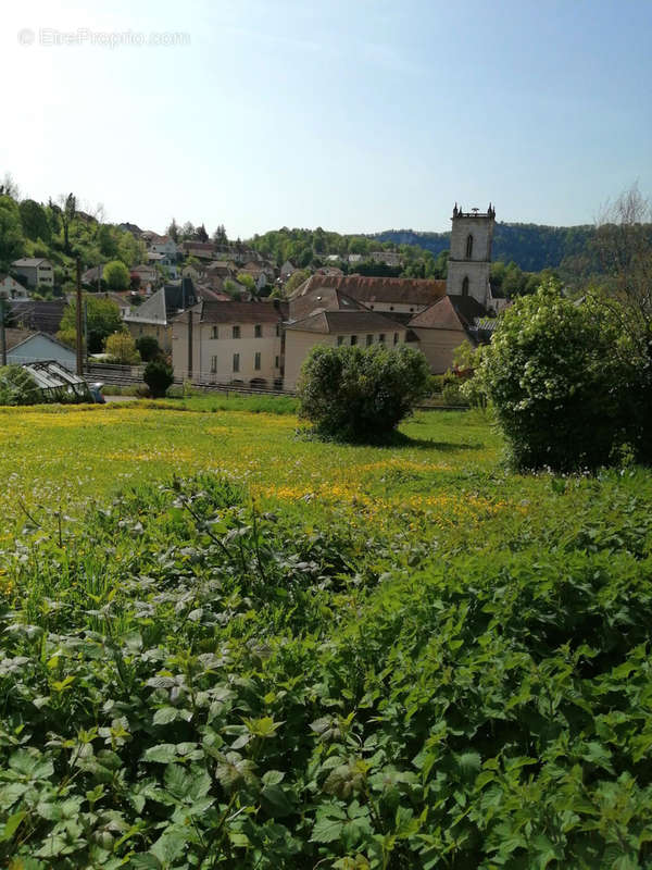 Terrain à BAUME-LES-DAMES