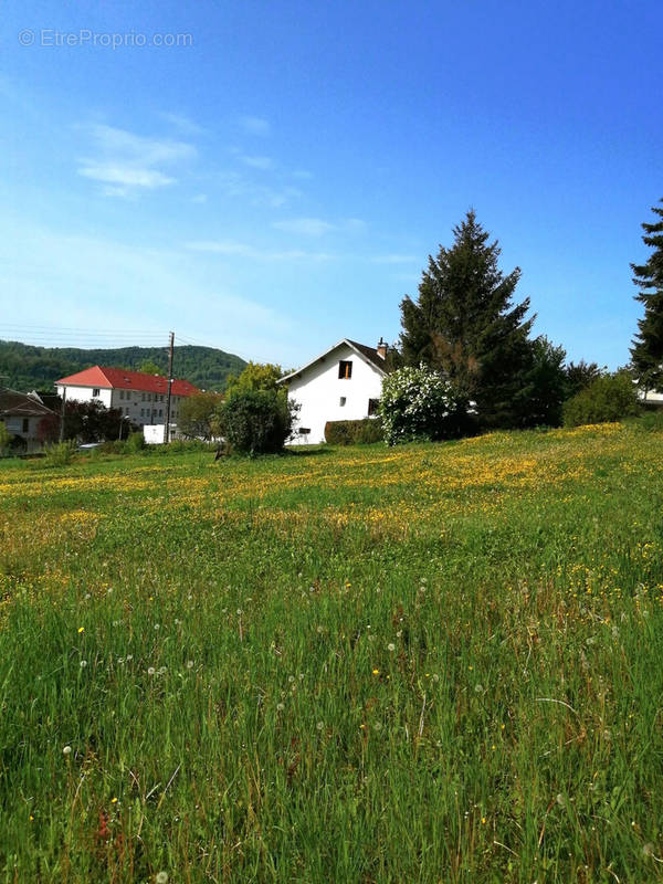 Terrain à BAUME-LES-DAMES