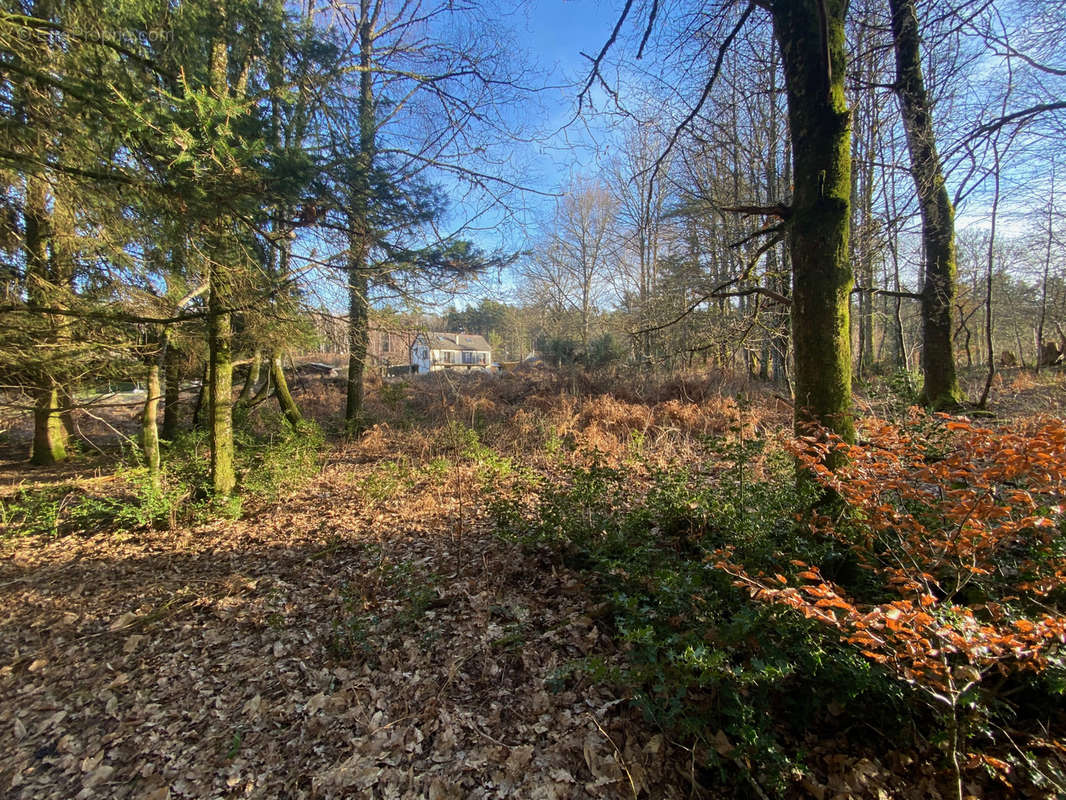 Terrain à CLERGOUX