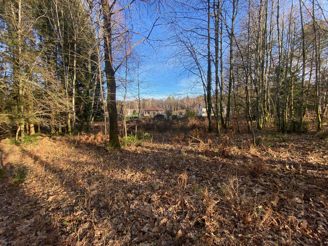 Terrain à CLERGOUX