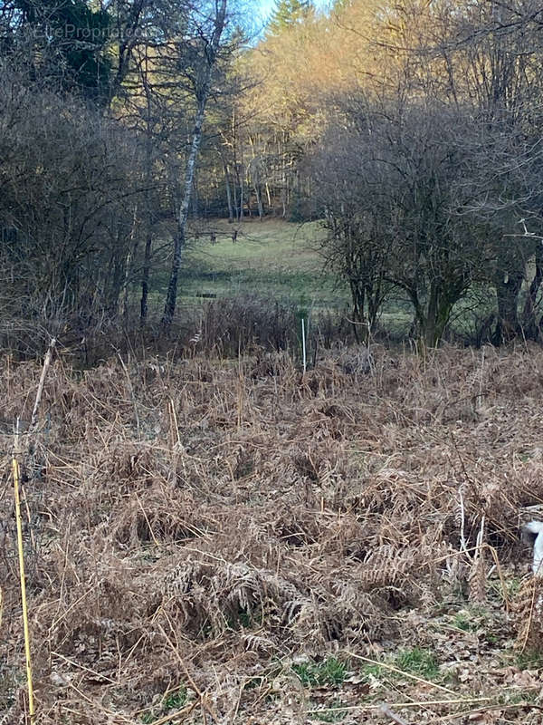 Terrain à CLERGOUX