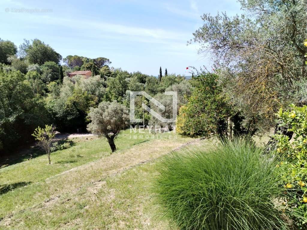 Maison à FAYENCE