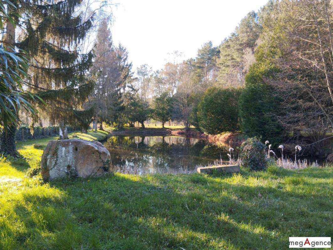 Terrain à LE BREIL-SUR-MERIZE