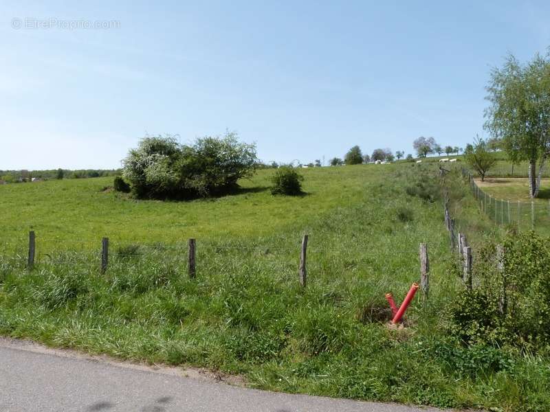 Terrain à SARRE-UNION