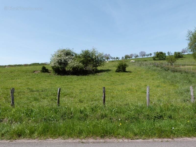 Terrain à SARRE-UNION