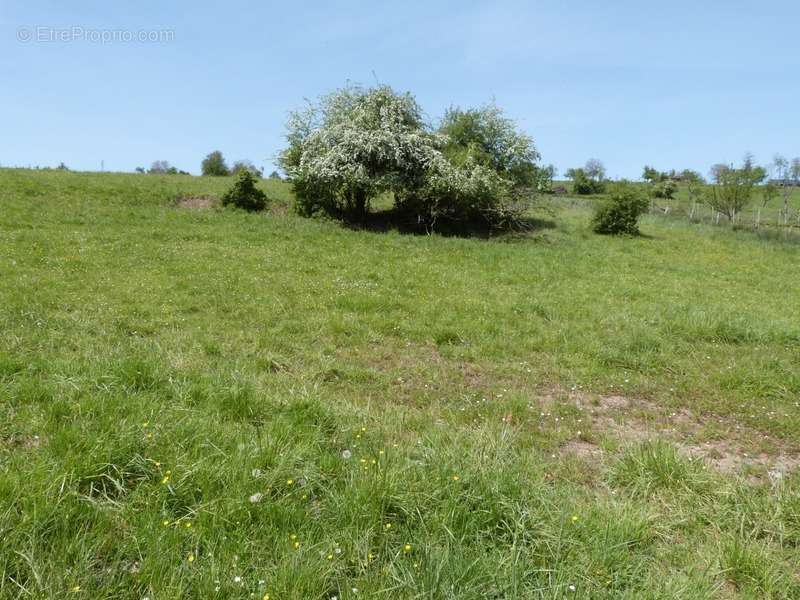 Terrain à SARRE-UNION